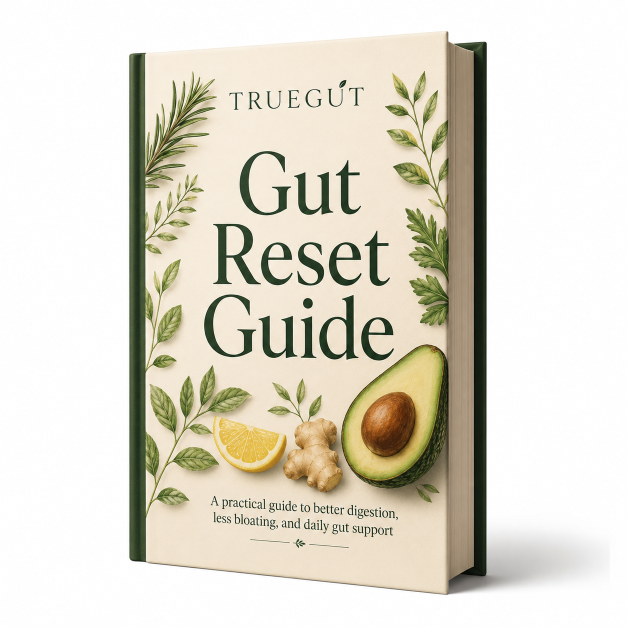 Gut Reset Guide E-Book