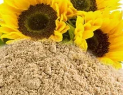 Sunflower Lecithin