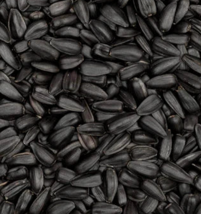 Black Seed Oil