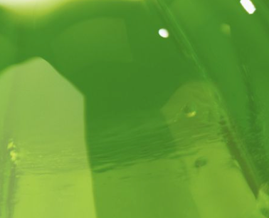 Delayed-Release Gelatin